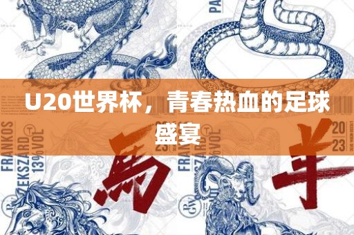 U20世界杯,青春热血的足球盛宴