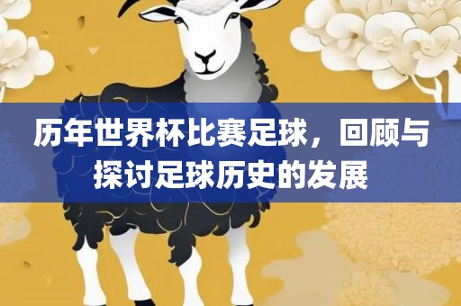 历年世界杯比赛足球，回顾与探讨足球历史的发展