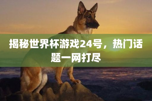 揭秘世界杯游戏24号,热门话题一网打尽