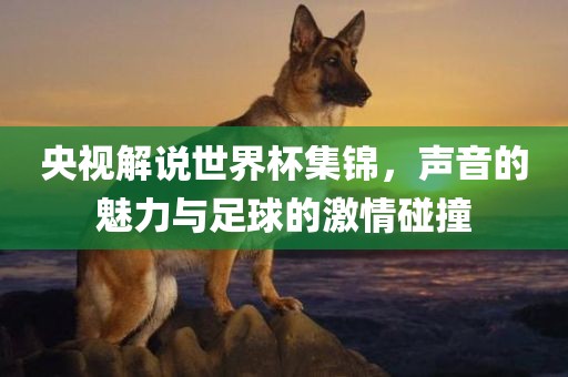 央视解说世界杯集锦，声音的魅力与足球的激情碰撞