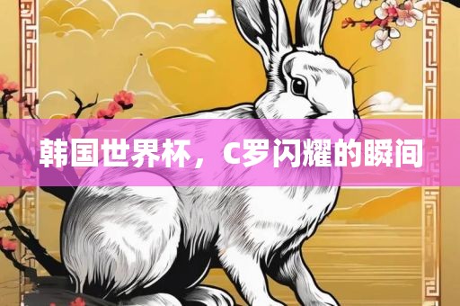 韩国世界杯,C罗闪耀的瞬间