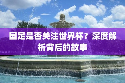 国足是否关注世界杯?深度解析背后的故事