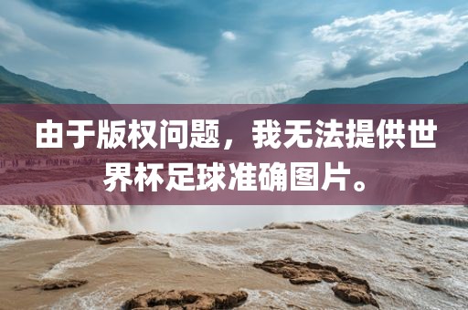 由于版权问题,我无法提供世界杯足球准确图片。