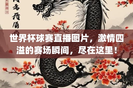世界杯球赛直播图片，激情四溢的赛场瞬间，尽在这里！