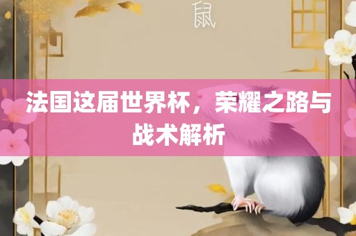 法国这届世界杯，荣耀之路与战术解析