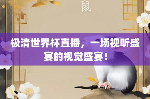 极清世界杯直播，一场视听盛宴的视觉盛宴！