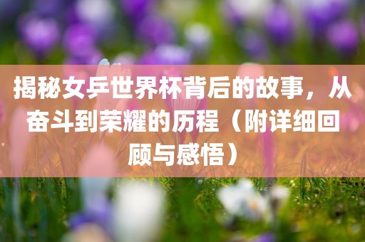 揭秘女乒世界杯背后的故事，从奋斗到荣耀的历程（附详细回顾与感悟）