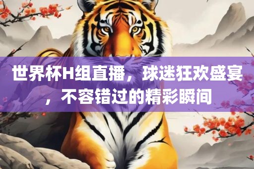 世界杯H组直播，球迷狂欢盛宴，不容错过的精彩瞬间