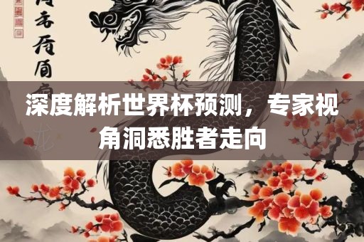 深度解析世界杯预测，专家视角洞悉胜者走向