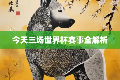 今天三场世界杯赛事全解析