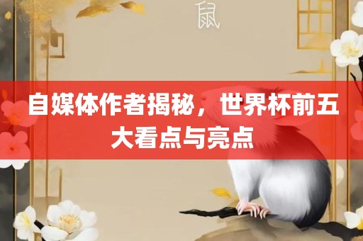 自媒体作者揭秘，世界杯前五大看点与亮点