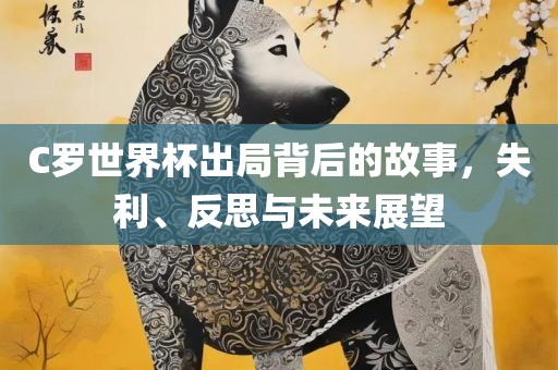 C罗世界杯出局背后的故事，失利、反思与未来展望