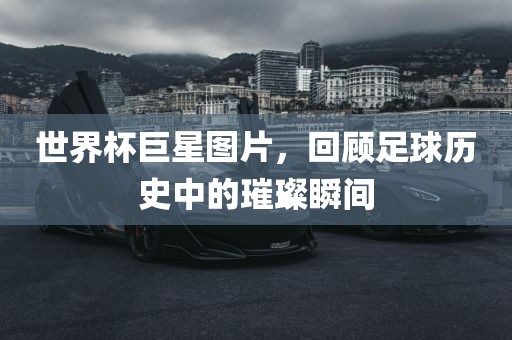 世界杯巨星图片，回顾足球历史中的璀璨瞬间