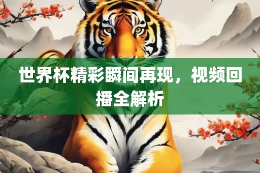 世界杯精彩瞬间再现，视频回播全解析