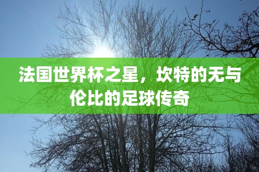 法国世界杯之星，坎特的无与伦比的足球传奇