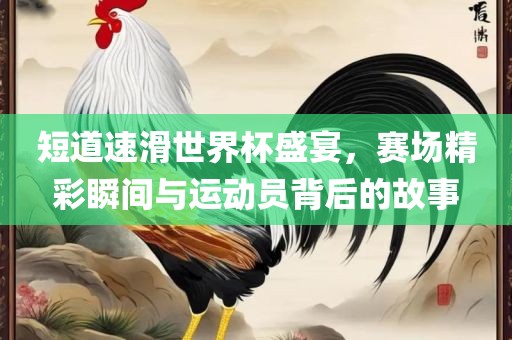 短道速滑世界杯盛宴，赛场精彩瞬间与运动员背后的故事