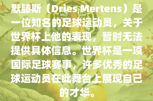 默滕斯（Dries Mertens）是一位知名的足球运动员，关于世界杯上他的表现，暂时无法提供具体信息。世界杯是一项国际足球赛事，许多优秀的足球运动员在此舞台上展现自己的才华。