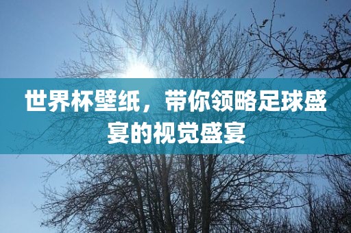 世界杯壁纸，带你领略足球盛宴的视觉盛宴