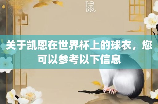 关于凯恩在世界杯上的球衣，您可以参考以下信息