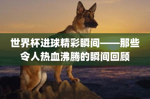 世界杯进球精彩瞬间——那些令人热血沸腾的瞬间回顾