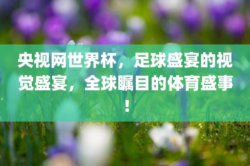 央视网世界杯，足球盛宴的视觉盛宴，全球瞩目的体育盛事！