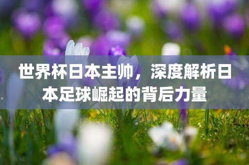 世界杯日本主帅，深度解析日本足球崛起的背后力量
