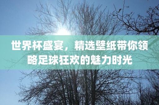 世界杯盛宴，精选壁纸带你领略足球狂欢的魅力时光