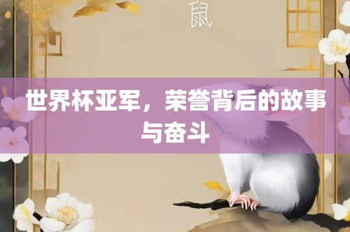 世界杯亚军，荣誉背后的故事与奋斗