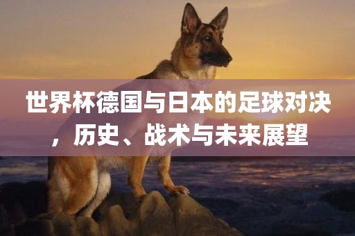 世界杯德国与日本的足球对决，历史、战术与未来展望