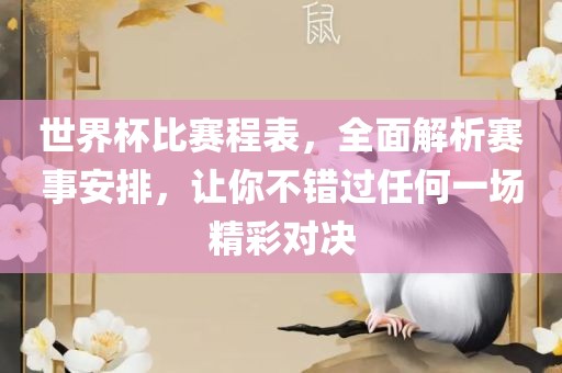 世界杯比赛程表，全面解析赛事安排，让你不错过任何一场精彩对决