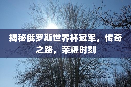 揭秘俄罗斯世界杯冠军，传奇之路，荣耀时刻