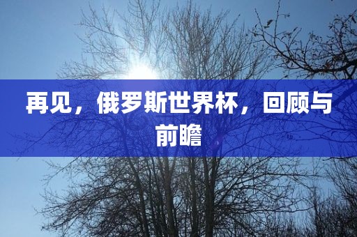 再见，俄罗斯世界杯，回顾与前瞻