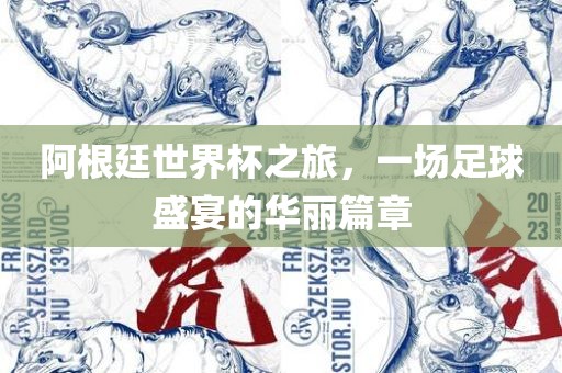 阿根廷世界杯之旅，一场足球盛宴的华丽篇章