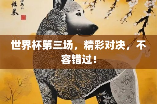 世界杯第三场，精彩对决，不容错过！