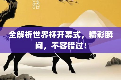 全解析世界杯开幕式，精彩瞬间，不容错过！