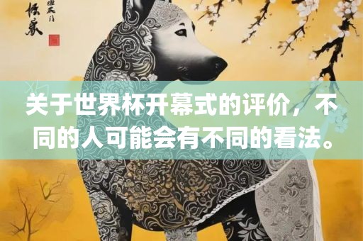 关于世界杯开幕式的评价，不同的人可能会有不同的看法。