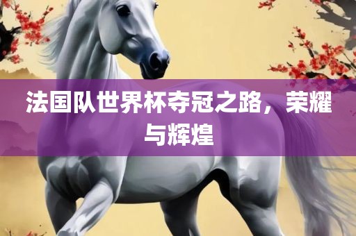 法国队世界杯夺冠之路，荣耀与辉煌