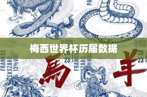 梅西世界杯历届数据