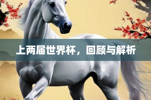 上两届世界杯，回顾与解析