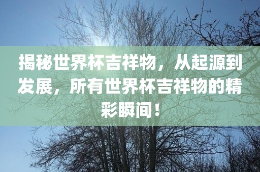 揭秘世界杯吉祥物，从起源到发展，所有世界杯吉祥物的精彩瞬间！
