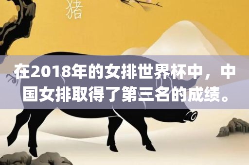 在2018年的女排世界杯中，中国女排取得了第三名的成绩。