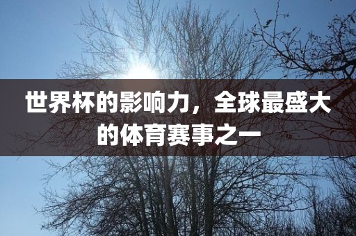 世界杯的影响力，全球最盛大的体育赛事之一