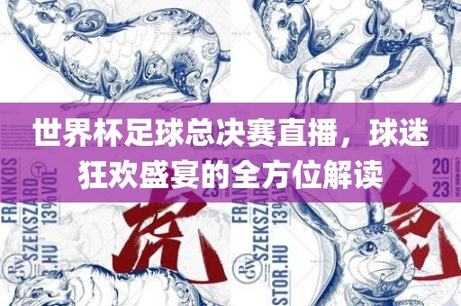 世界杯足球总决赛直播，球迷狂欢盛宴的全方位解读