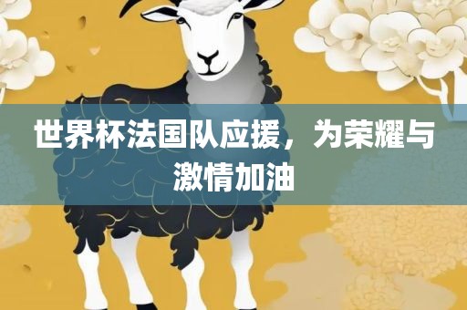 世界杯法国队应援，为荣耀与激情加油