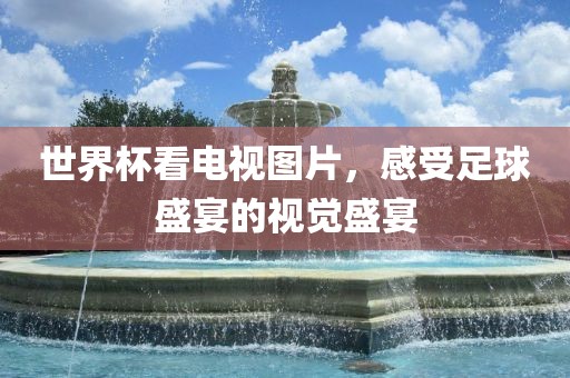 世界杯看电视图片，感受足球盛宴的视觉盛宴