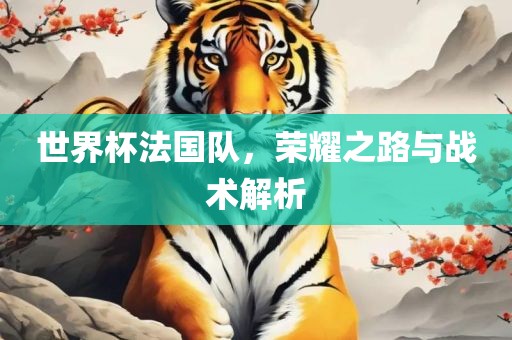 世界杯法国队，荣耀之路与战术解析