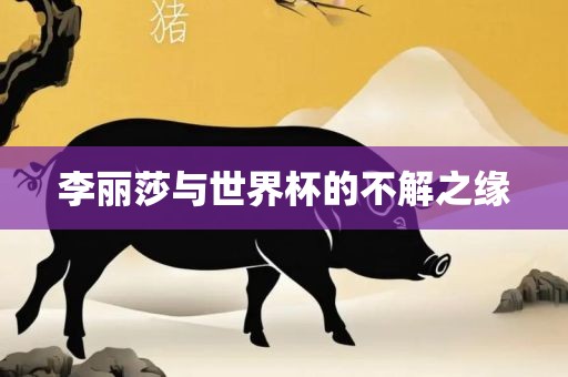 李丽莎与世界杯的不解之缘