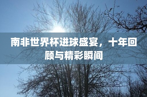 南非世界杯进球盛宴，十年回顾与精彩瞬间