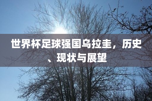 世界杯足球强国乌拉圭，历史、现状与展望