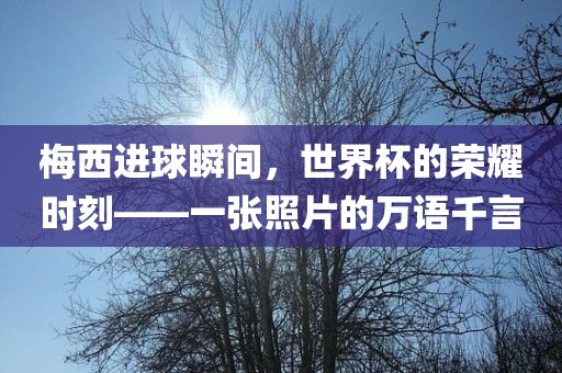 梅西进球瞬间，世界杯的荣耀时刻——一张照片的万语千言